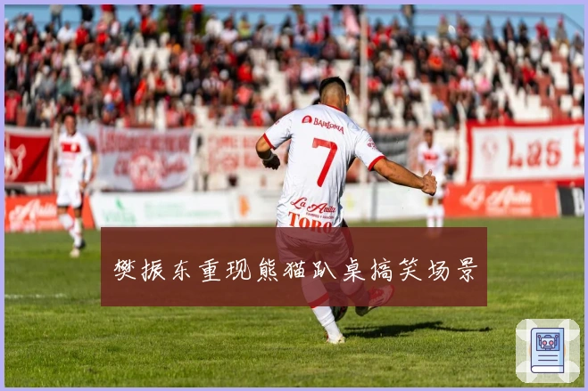 樊振东重现熊猫趴桌搞笑场景