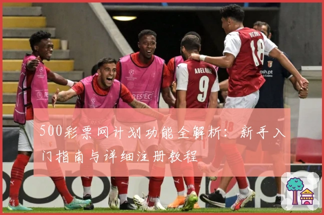 500彩票网计划功能全解析：新手入门指南与详细注册教程