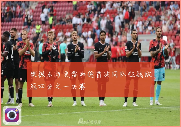 樊振东与莫雷加德首次同队征战欧冠四分之一决赛