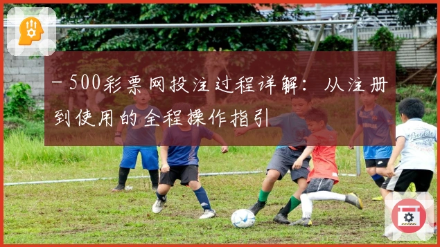 - 500彩票网投注过程详解：从注册到使用的全程操作指引