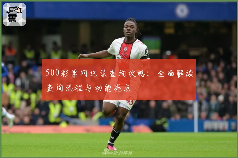 500彩票网记录查询攻略：全面解读查询流程与功能亮点