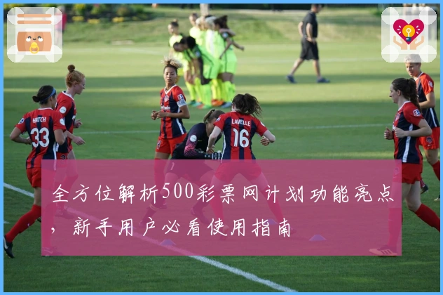 全方位解析500彩票网计划功能亮点，新手用户必看使用指南